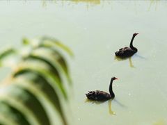 -北京麋鹿生态实验中心