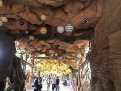 -横店影视城梦幻谷园区