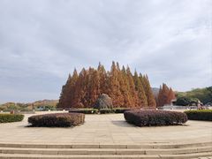 -紫金山天文台