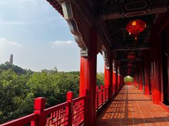 -广州莲花山旅游区