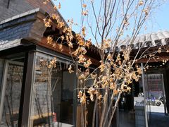 -VOYAGE COFFEE(杨梅竹店)