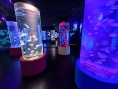 -顺德南宏海立方海洋公园