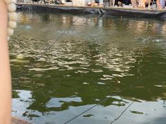 -DGE季风钓虾营地·团建·聚会