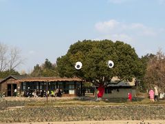 -西塘人家•黑金冠本地好店
