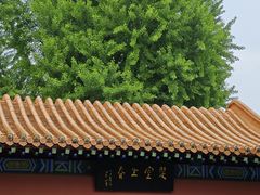 -戏马台景区