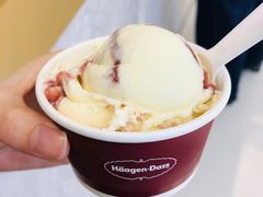 -哈根达斯(印力中心店)