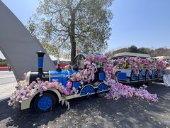 -上海鲜花港