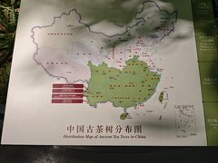 -中国茶叶博物馆(双峰馆区)