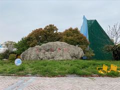-上海都市菜园
