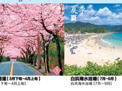 -伊豆观海列车