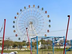 -金卉庄园