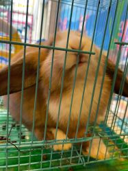 -哆啦爱梦儿童乐园(住邦城市广场店)