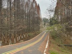 -宜兴龙背山森林公园