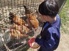 -前小桔亲子创意农场·草莓采摘·露营烧烤