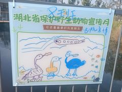 -武汉动物园
