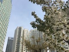 -郑庄脂渣海鲜楼(九水路店)