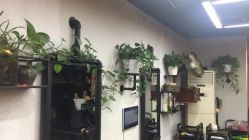 -AFA Hair studio·女士发型设计