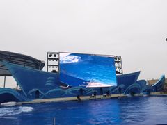 -上海海昌海洋公园