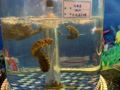 -青岛鑫江温德姆酒店