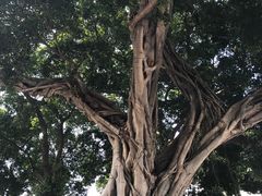 -南越王博物院(王宫展区)