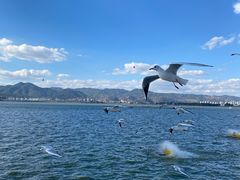 -海埂大坝