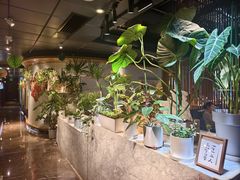 -懒人盐府人家(航天桥店)