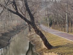 -北坞公园