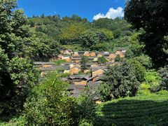 -杨家堂村
