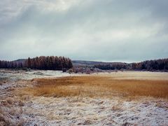 -塞罕坝国家级自然保护区