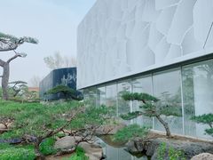 -罗红摄影艺术馆