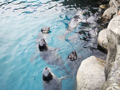 -华夏文旅海洋公园