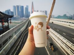 -重庆市江北嘴中央商务区中央公园