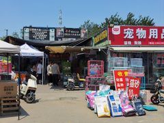 -中环花鸟鱼虫市场