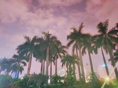 -南宁南湖公园
