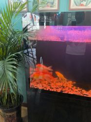 -尚逸男士理发馆·专注男发