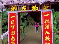 -巴马洞天福地景区