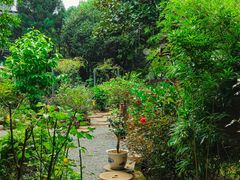 -谷咖啡·鲜花绿植花园餐厅