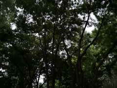 -仁和公园(顺义区)