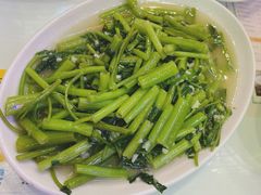 炒空心菜-澳门陈光记烧味饭店(郎家园店)