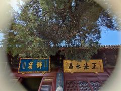 -洛阳白马寺