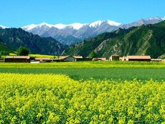 -扁都口生态休闲旅游区