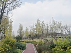 -府河摄影公园