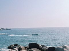-广东惠东海龟国家级自然保护区