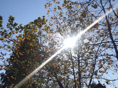 -南通博物苑-崇川人民公园