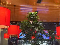 -小骨煲金华砂锅(转塘金街美地店)
