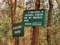 -紫金山索道-售票处