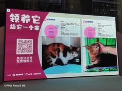 -远洋未来广场(育慧北路店)