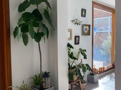 -AHAVA·Fang Baking Studio