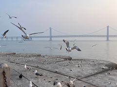 -星海广场