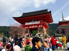 -有栖山 清光院 清水寺